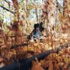Download track Counterclockwise