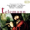 Download track Trio Sonata In D Minor For Recorder, Pardessus De Viole And Basso Continuo, TWV 42: D7: IV. Allegro