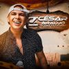 Download track A Vida Tem Dessas Coisas