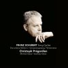 Download track Schwanengesang Nr. VIII - XIII D 957: Die Stadt