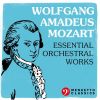 Download track Symphony No. 11 In D Major, K. 84: I. Allegro