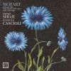 Download track Mozart: Sonata For Piano And Violin In B-Flat Major, K. 378 / 317d: III. Rondeau. Allegro