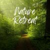 Download track 1 Hour Of Distant Wind In The Forest, Pt. 26