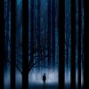 Download track The Trace
