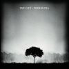 Download track Blindness