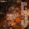 Download track Symphony No. 5 In C-Sharp Minor - IV. Adagietto