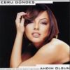 Download track Senin Olmaya Geldim