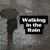 Download track The Last Rain