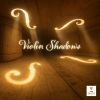 Download track Schubert: Violin Sonata In A Major, Op. Posth. 162, D. 574 