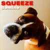 Download track Domino