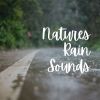 Download track Simple Beautiful Rain