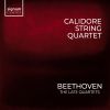 Download track Beethoven: String Quartet No. 14 In C-Sharp Minor, Op. 131: VII. Allegro