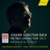 Download track Cantata BWV 194.2- Coro Höchsterwünschtes Freudenfest