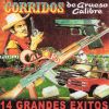 Download track Entre Yerba Polvo Y Plomo