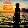 Download track Funkin For Jamaica (N. Y) (Dub Version)