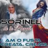Download track Mai Stai