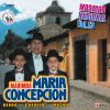 Download track Mosaico Nacional Vol. 13: Antigua Guatemala / Aniversario / Clavel En Botón / Fraternidad Coatepecana / Ritmos Y Palmeras / En La Cumbre / Gerson Alexander / Chicha Fuerte