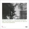Download track 01 - Symphony No. 1 In E Major I. Sehr Langsam - Sehr Lebhaft