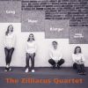 Download track String Quartet In A Major IV. Finale. Presto