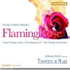 Download track 10 - Die Ihr Aus Dunkeln Gruften, HWV 208