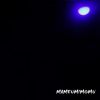 Download track Intro + Jungle Trip