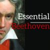 Download track Piano Sonata No. 21, Op. 53 