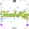 Download track Vocoding