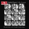 Download track Cello Sonata No. 1 In D Minor, Op. 109 III. Finale. Allegro Commodo