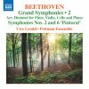 Download track Beethoven Symphony No. 2 In D Major, Op. 36 (Arr. J. N. Hummel For Flute & Piano Trio) I. Adagio Molto - Allegro Con Brio