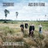 Download track Die Götter Griechenlands, D. 677 (Arr. X. Van Dijk For String Quartet)