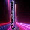 Download track Zeit Und Raum (Mindrunner Remix)