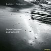 Download track 02. Violin Sonata No. 1 In G Major, Op. 78 _ II. Adagio