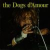 Download track How Do You Fall In Love Again
