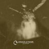 Download track Python (Original Mix)