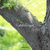 Download track Taboos