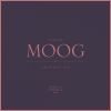 Download track Moog