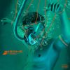 Download track Dingue