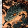 Download track Uroboros