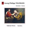 Download track Fantasia No. 6 In D Minor, TWV 407 II. Allegro