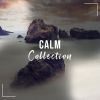Download track Binaural Relaxation