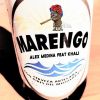 Download track Marengo