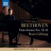 Download track Piano Sonata No. 12 In A-Flat Major, Op. 26 Funeral March IV. Allegro