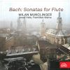 Download track Sonata For Flute And Continuo In E Minor, BWV 1034 II. Allegro
