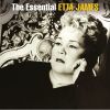 Download track Try A Little Tenderness