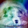 Download track Best To Rest