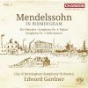 Download track 02. Symphony No. 5 Op. 107 Reformation - I. Andante - Allegro Con Fuoco