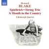 Download track String Trio, Op. 199 - I. Allegro Energico