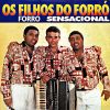 Download track Forrozeiro Atraente