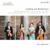 Download track String Quartet No. 14 In C-Sharp Minor, Op. 131: VII. Allegro