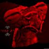 Download track Learn To Forget